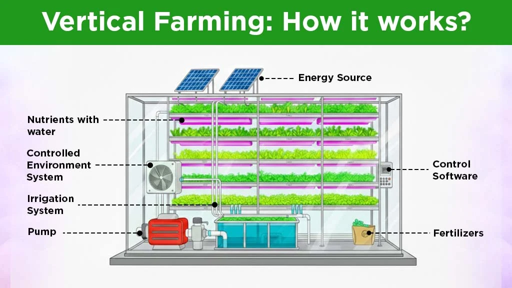 Vertical Farming Model: How it works