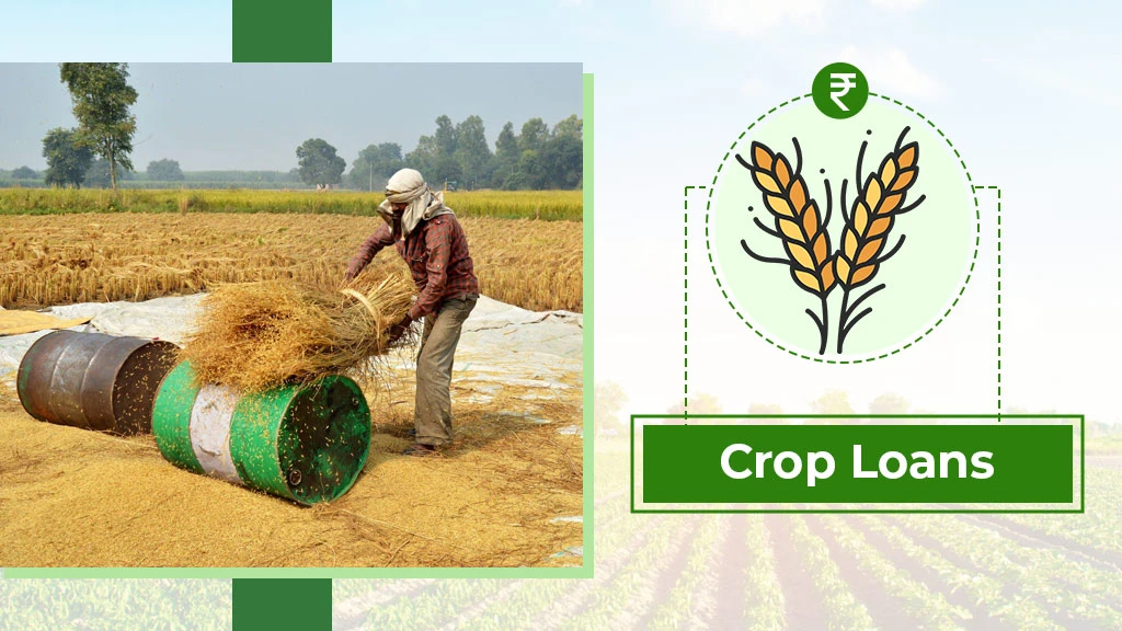 Agriculture Loan Types - Crop Loans