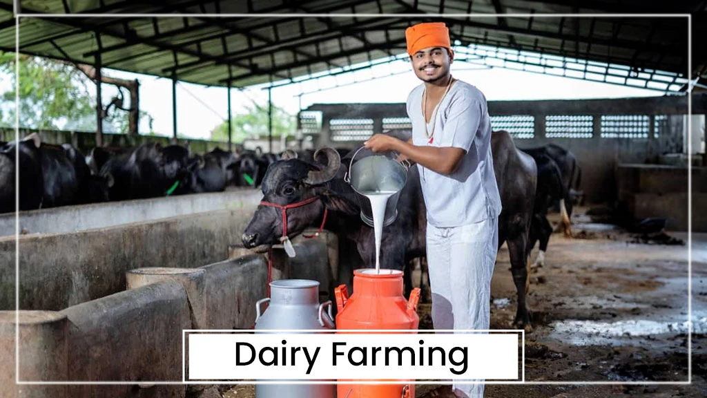 What is Animal Husbandry, Types & Benefits