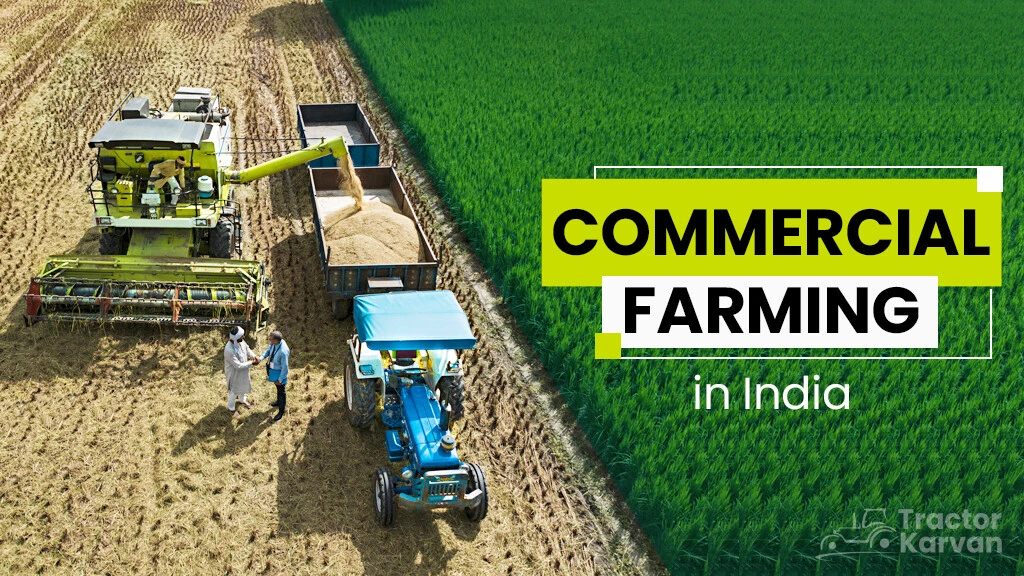 Commercial Farming in India – Features, Characteristics and Advantages
