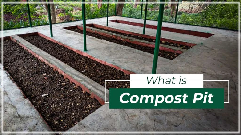 What is Compost Pit: Meaning, Process, and Benefits