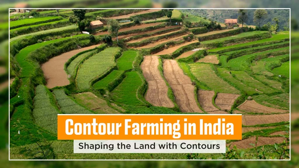 Contour Farming in India: Shaping the Land with Contours