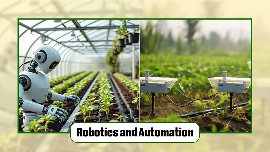 Types Of Technologies in Digital Farming - Robotics and Automation