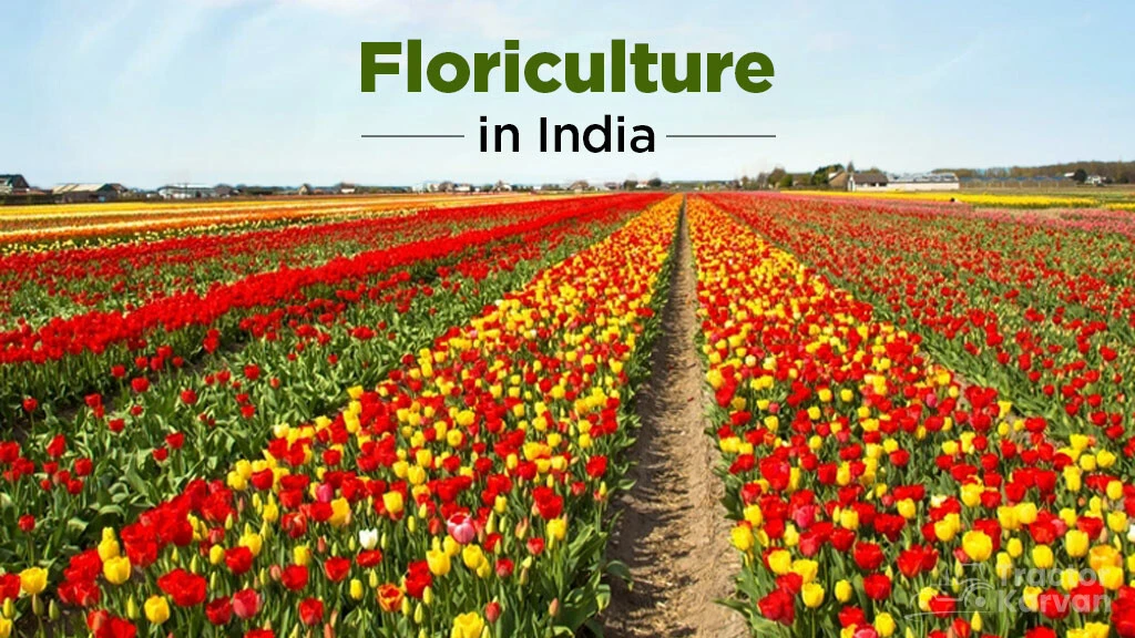 Floriculture in India: Characteristic, Importance and Emerging Trend