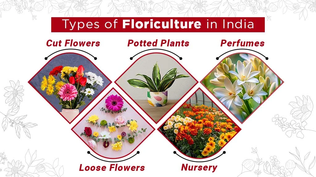 types of floriculture in India