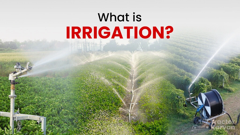 What is Irrigation? Its Types, Methods, and Importance in India
