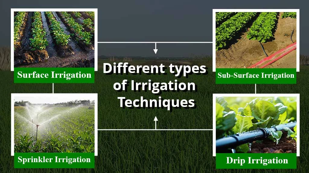 What are the Different Types of Irrigation Techniques