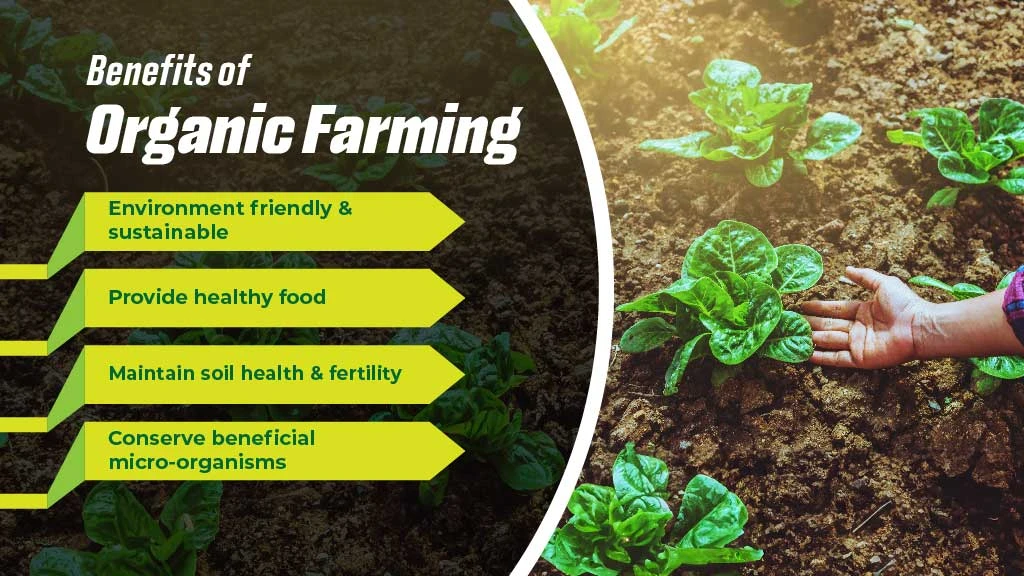 Benefits of Organic Farming