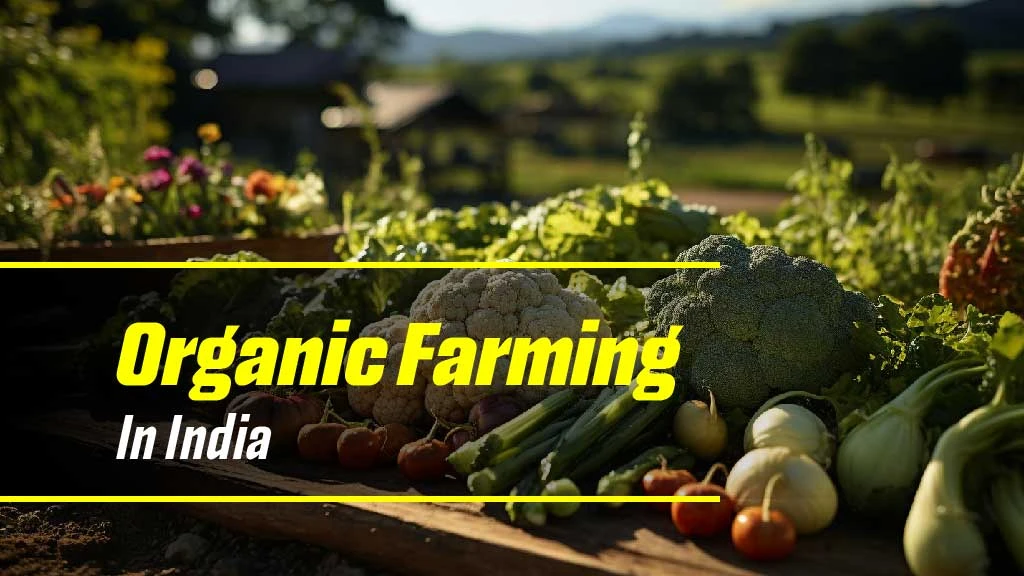 Organic Farming in India - Meaning, Types and Benefits