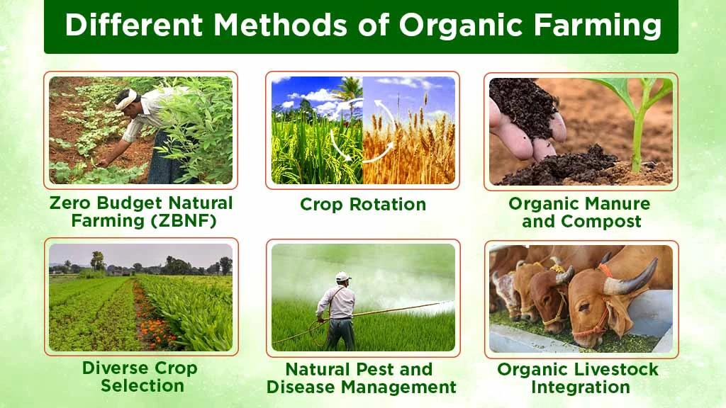 Organic Farming Methods - Infographics