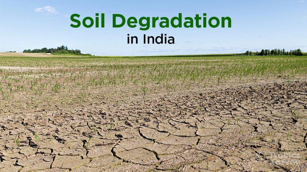 what-is-soil-degradation-in-india-causes-solutions