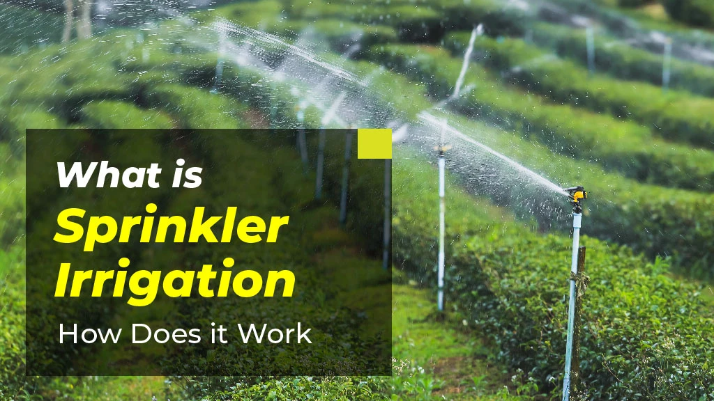 How Does a Sprinkler Irrigation Works Tractorkarvan