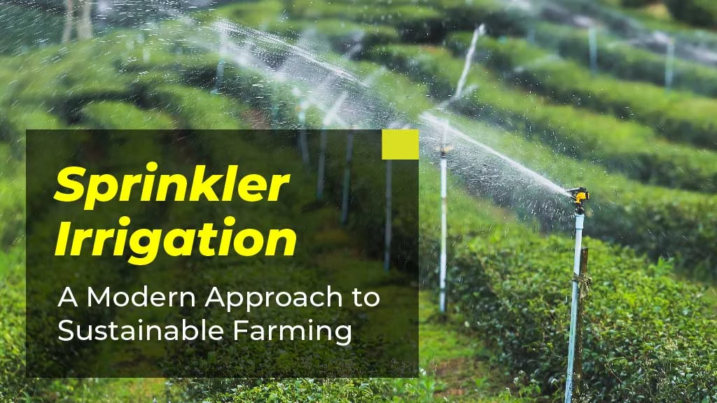 Sprinkler Irrigation: A Modern Approach to Sustainable Farming