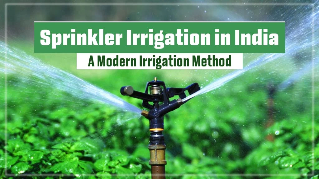 Sprinkler Irrigation in India: A Modern Irrigation Method