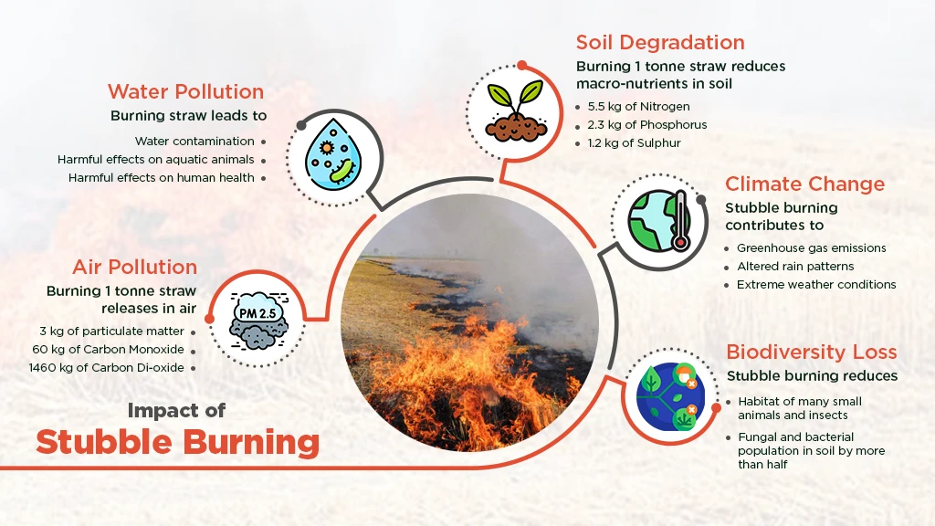 Impact of stubble burning - infographic