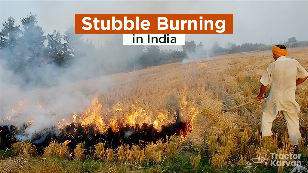 Stubble Burning in India: Its Impact on Environment and Alternatives