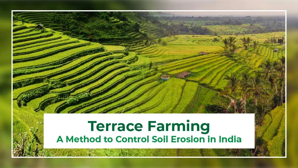 Terrace Farming – A Method to Control Soil Erosion in India