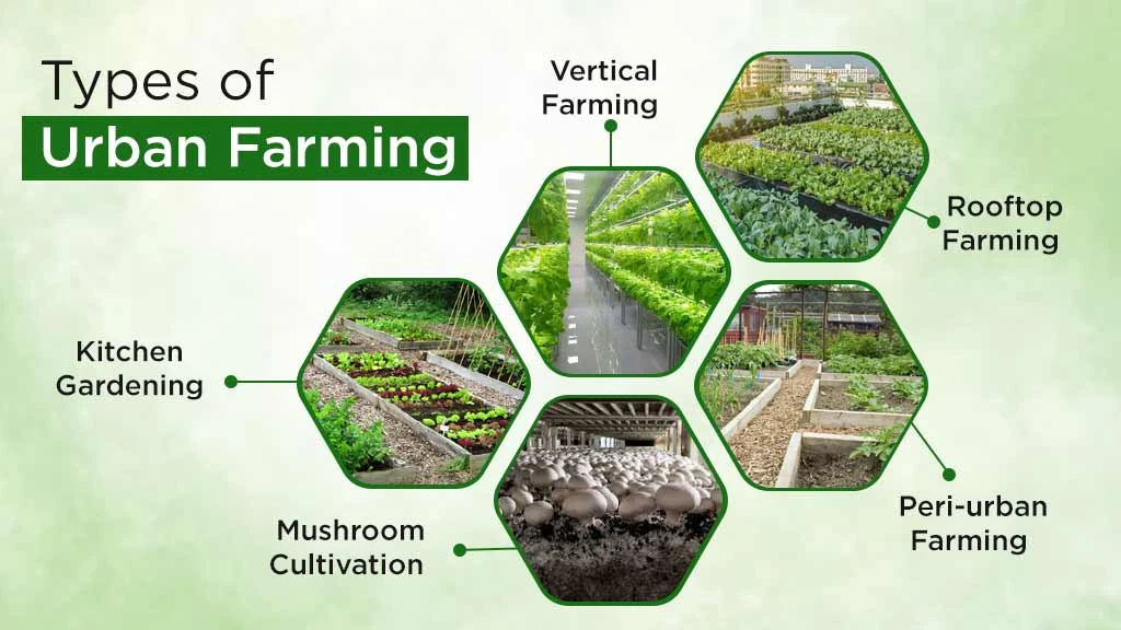 Types of Urban Farming