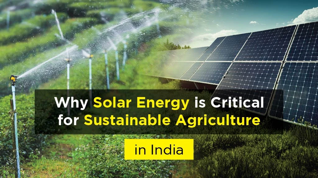 Why Solar Energy is Critical for Sustainable Agriculture in India