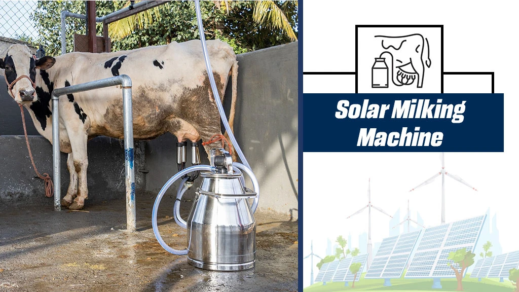 Applications Of Solar Energy - Solar Milking Machine