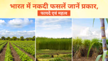 नकदी फसलें क्या हैं? जानें प्रकार, फायदे एवं महत्व Article