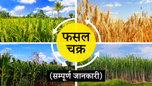 फसल चक्र क्या है? जानें सॉइल हेल्थ के लिए क्यों है ये जरुरी Article फसल चक्र क्या है? जानें सॉइल हेल्थ के लिए क्यों है ये जरुरी Article