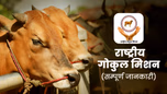 राष्ट्रीय गोकुल मिशन: जानें उद्देश्य एवं मिलने वाले लाभ Article राष्ट्रीय गोकुल मिशन: जानें उद्देश्य एवं मिलने वाले लाभ Article