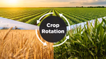 Crop Rotation Method for India’s Sustainable Agriculture Article Crop Rotation Method for India’s Sustainable Agriculture Article
