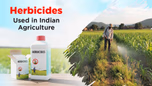 Herbicides in Indian Agriculture: Choosing the Right Solution for Weed Control Article