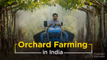 Profitable Orchard Farming in India: Crop Selection & Best Practices Article