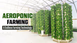 Aeroponic Farming: A Soilless Farming Technology Article