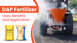 DAP Fertilizer: A Solution for High-Yielding Crops Article