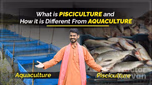 What is Pisciculture and How it is Different from Aquaculture Article