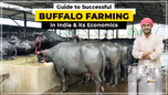 Guide to Successful Buffalo Farming in India & its Economics Article