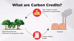 What are Carbon Credits: Key Schemes, Benefits for Farmers, Challenges Article What are Carbon Credits: Key Schemes, Benefits for Farmers, Challenges Article