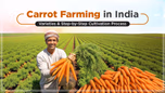 Carrot Farming in India – Varieties & Step-by-Step Cultivation Process Article