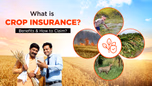 What is Crop Insurance – Benefits & How to Claim? Article