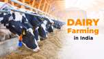 Dairy Farming in India: A Window to Farmer’s Prosperity Article