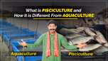 What is Pisciculture and How it is Different from Aquaculture Article What is Pisciculture and How it is Different from Aquaculture Article