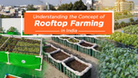 Understanding the Concept of Rooftop Farming in India Article