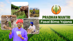 Pradhan Mantri Fasal Bima Yojana: Protecting Farmers against Crop Failure Article Pradhan Mantri Fasal Bima Yojana: Protecting Farmers against Crop Failure Article