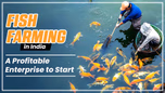 Fish Farming in India: A Profitable Enterprise to Start Article