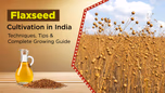 Flaxseed Cultivation in India: Techniques, Tips & Complete Growing Guide Article