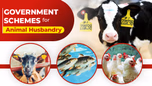 Government Schemes to Promote Animal Husbandry in India Article Government Schemes to Promote Animal Husbandry in India Article