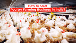 How to Start a Poultry Farming Business in India? Article
