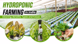 Hydroponic Farming: Meaning, Benefits, Types and Future in India Article