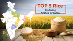 Top 5 Rice Producing States in India 2026 Article