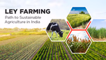 Ley Farming: Path to Sustainable Agriculture in India Article