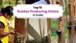 List of Top 10 Rubber Producing States in India in 2025 Article