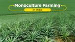 Monoculture Farming in India: Its Advantages and Disadvantages Article